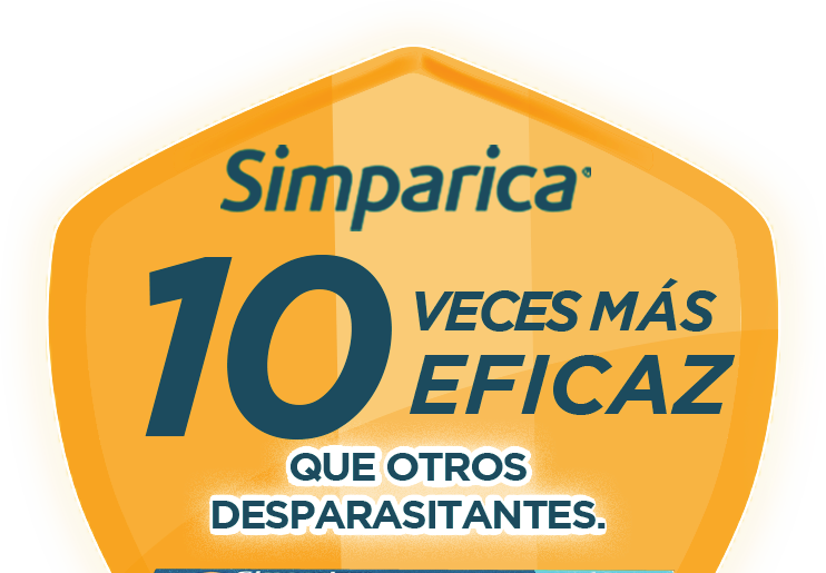 Simparica es 10 veces más eficaz que otros desparasitantes